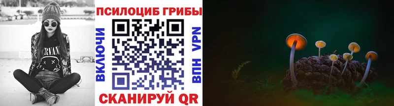 где найти   Котельниково  Галлюциногенные грибы Psilocybine cubensis 