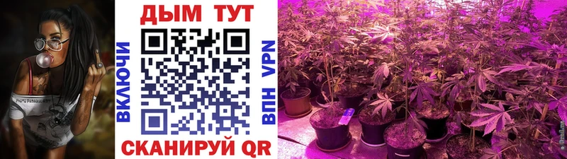 Бошки марихуана VHQ ОМГ ОМГ рабочий сайт Котельниково